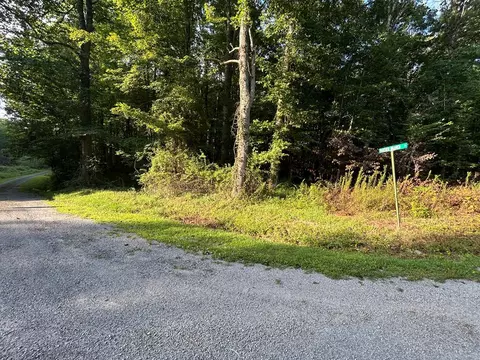 N/a Panther Branch Road, Jamestown, TN 38556