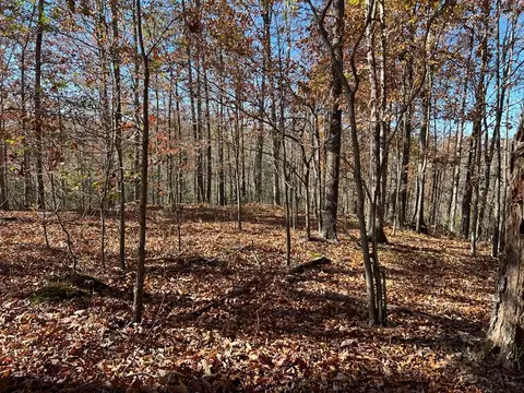 2 19 Ac Old Hwy 53, Celina, TN 38551