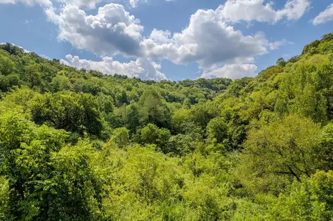 53 19ac Watts Hollow Rd, Buffalo Valley, TN 38548