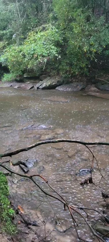 150 Acre Prong Of Clear Frk, Jamestown, TN 38566