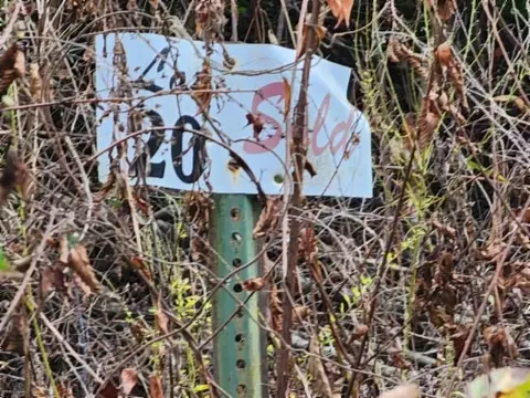 lot20 Apache Rd, Jamestown, TN 38556