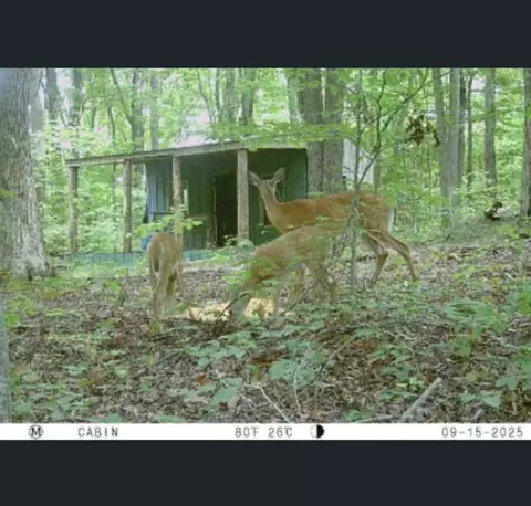 Other - 78 Nora Loop, Alpha, KY 42603 photo 8 of 19