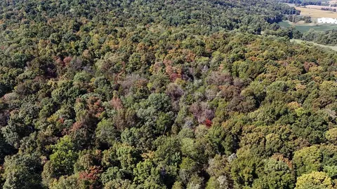 View/Area - 78 Nora Loop, Alpha, KY 42603 photo 8 of 9