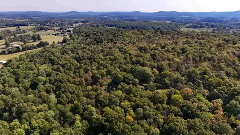 View/Area - 78 Nora Loop, Alpha, KY 42603 photo 9 of 9