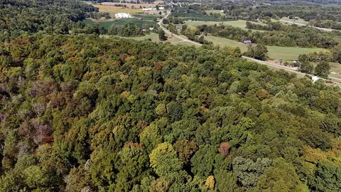 View/Area - 78 Nora Loop, Alpha, KY 42603 photo 7 of 9