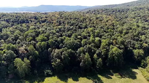 Other - 78 Nora Loop, Alpha, KY 42603 photo 7 of 19