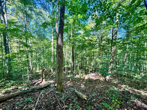 0 W Bobcat Ln, Wilder, TN 38589