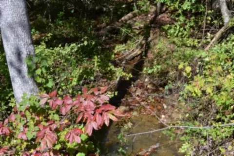 lot1 Aarow Trl, Monterey, TN 38574