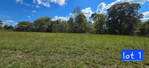 lot1 Austin Bottom Rd, Baxter, TN 38544