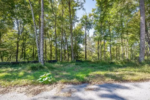 00 Back Ranch Dr, Silver Point, TN 38582 photo 9