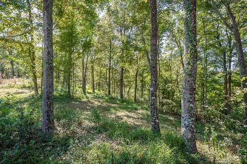 00 Back Ranch Dr, Silver Point, TN 38582 photo 4