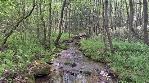 lot20 Timber Valley Trl, Rockwood, TN 37854