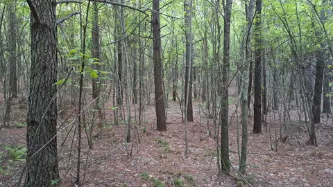 lot22 Timber Valley Trl, Rockwood, TN 37854