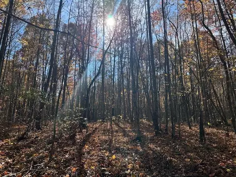 lot321 Hilltop Ln, Wilder, TN 38589