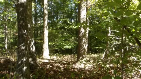 lot2 Inland Ct, Sparta, TN 38583