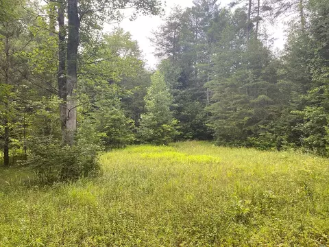 0 Baxter Norris Rd, Crab Orchard, TN 37723