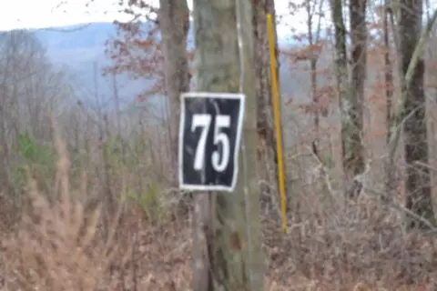 lot75 Tomahawk Rd, Jamestown, TN 38556