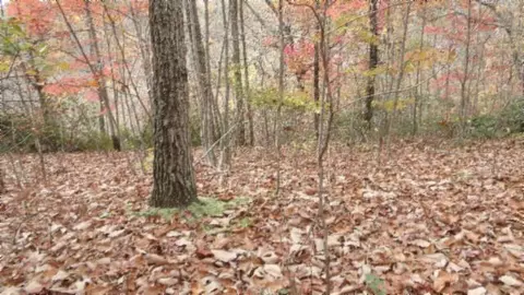 lot349 Drew Ct, Smithville, TN 37166