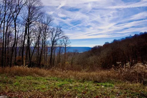 36 Ac White Oak Flatt Rd, Sparta, TN 38583