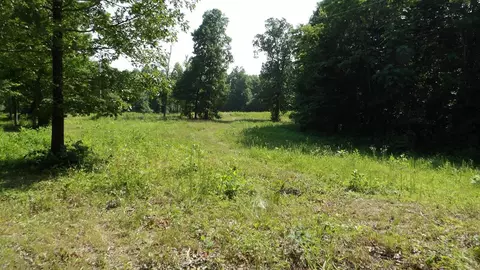 13 87ac Pleasant Cemetery Ln, Gainesboro, TN 38562