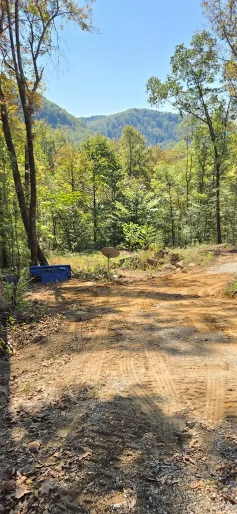 1354 E Obey Ln, Wilder, TN 38589