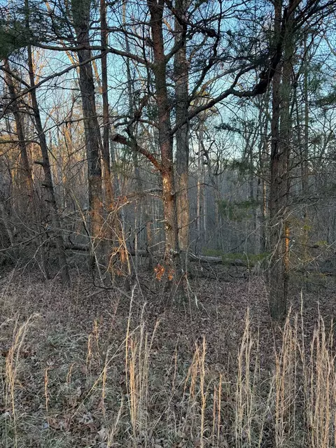 lot5 W Laurel Way, Monterey, TN 38574