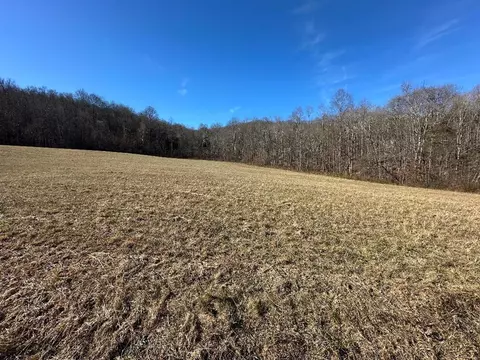 0 Whites Cave Rd, Sparta, TN 38583