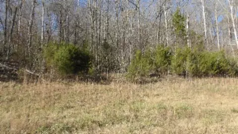 lot46 Cheyenne Dr, Jamestown, TN 38556