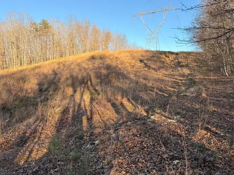 2156 Street Place Loop, Monterey, TN 38574