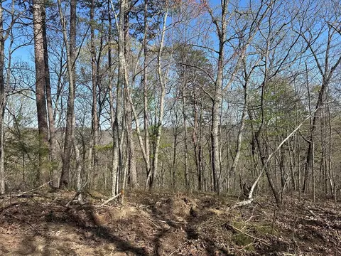 lot2 Buckeye Ln, Wilder, TN 38589