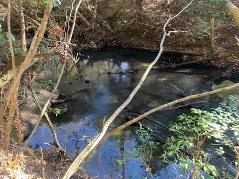 Tract 2 Lone Wolf Trail, Spencer, TN 38585
