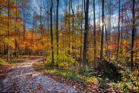 1192 Shellotte Loop, Pall Mall, TN 38577