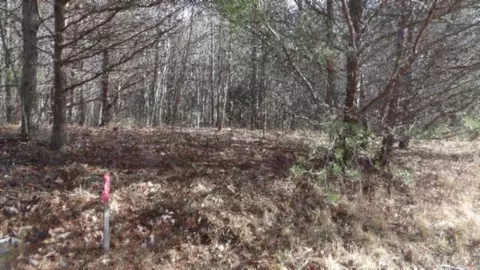 lot185 Meadow Ln, Spencer, TN 38585