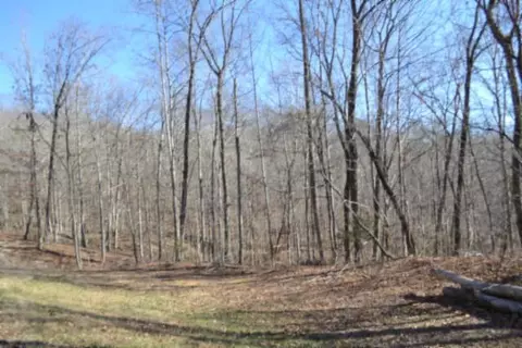 10 85ac Cheyenne Dr, Jamestown, TN 38556