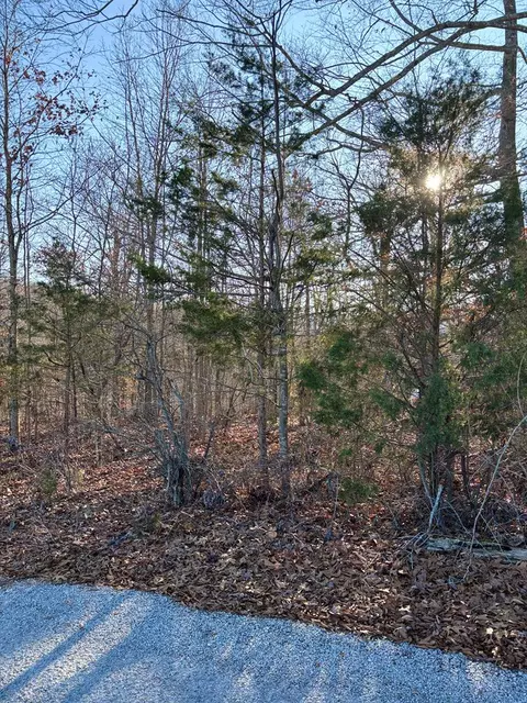 0 Lloyd Stover Rd, Allons, TN 38541