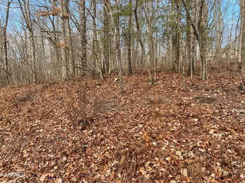 116 Overlook Cv, Crossville, TN 38558