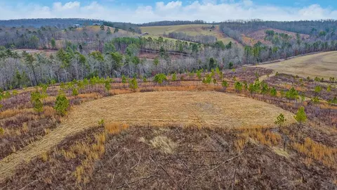 0 Possum Trot Road - Tract 2, Grandview, TN 37337