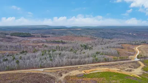 0 Possum Trot Road - Tract 11, Grandview, TN 37337