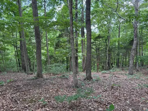 lot12 Cornerstone Pkwy, Allons, TN 38541