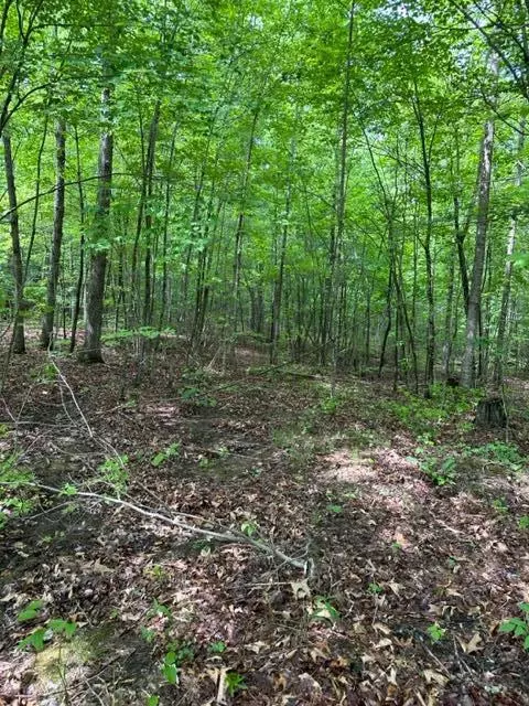 lot335 Flat Top Vw, Wilder, TN 38589