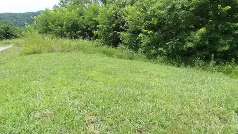 lot17 D Crappie Ln, Hilham, TN 38562