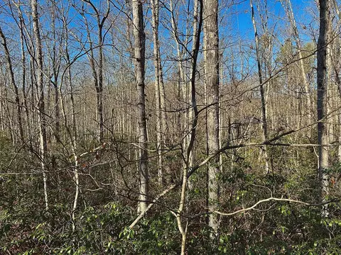 lot35 Wilson Ridge Rd, Wilder, TN 38589
