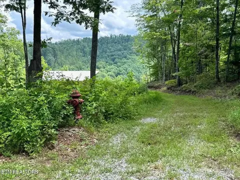 1291 Buck Ln, Crawford, TN 38554