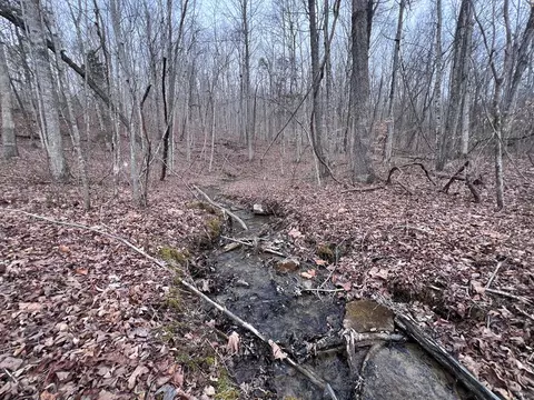 lot55 Buffalo Cove Ln, Jamestown, TN 38556