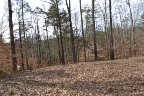87 Ac Boles Rd, Hilham, TN 38568