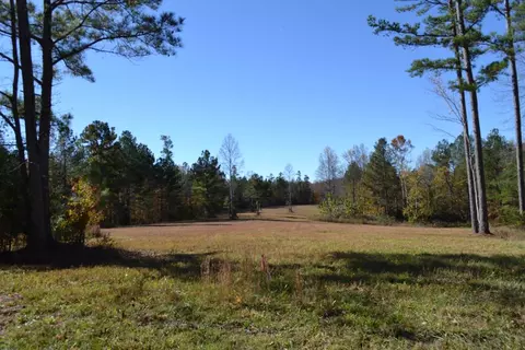 28 30ac Whitson Hollow Rd, Red Boiling Springs, TN 37150