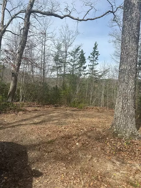 lot432 Valley View Cir #LOT 432, Wilder, TN 38589