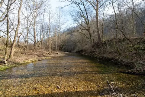 15 76 Ac Charlie Allen Ln, Whitleyville, TN 38588