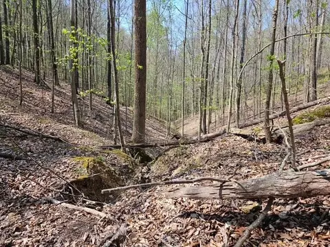 5 Acres Benton Tidwell Rd, Hilham, TN 38568