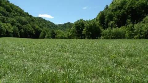 5155 Brimestone Creek Rd, Moss, TN 38575